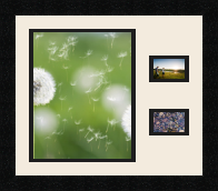 passe partout  1 - 20x25 and 2 - 8x5 photos