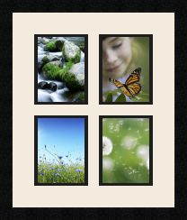 passe partout  4 - 13x17 photos