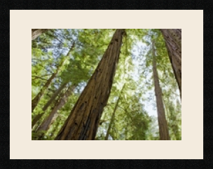 passe partout  1 - 47x35 photos