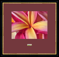 RK CADRES le numéro un encadrement 