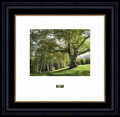 RK CADRES le numéro un encadrement 