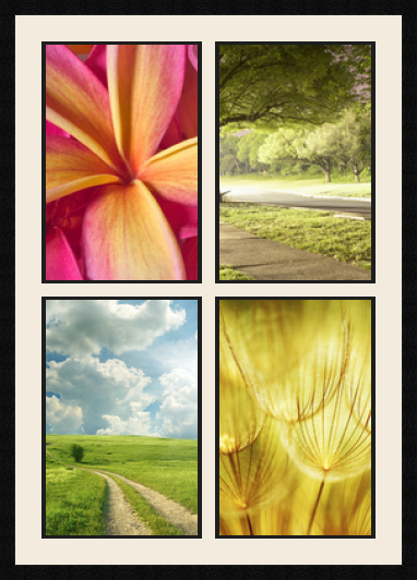 passe partout  4 - 31x47 photos