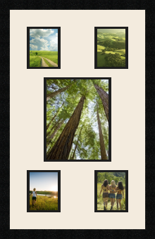 passe partout  4 - 10x13 and 1 - 20x25 photos