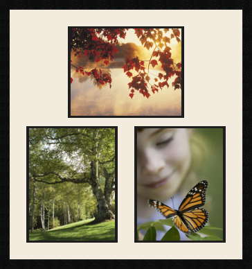 passe partout  1 - 35x28 and 2 - 28x35 photos