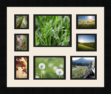 passe partout  1 - 7x7 and 1 - 17x14 and 1 - 9x7 and 1 - 7x8 and 1 - 9x8 and 1 - 7x10 and 1 - 14x10 and 1 - 12x10 photos