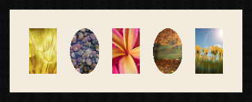 passe partout  5 - 10x15 photos