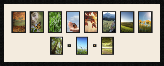 passe partout  8 - 10x15 and 3 - 9x13 photos