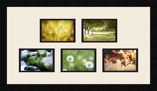 passe partout  5 - 15x10 photos