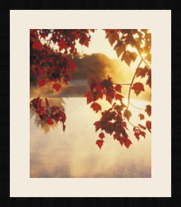 passe partout  1 - 38x45 photos