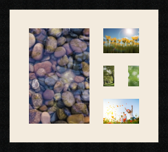 passe partout  1 - 20x30 and 2 - 13x9 and 2 - 5x8 photos