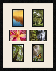 passe partout  4 - 10x15 and 2 - 15x10 photos