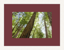 RK CADRES le numéro un encadrement 