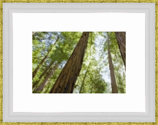 RK CADRES le numéro un encadrement 