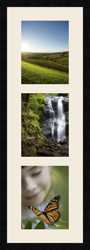 passe partout  3 - 22x28 photos