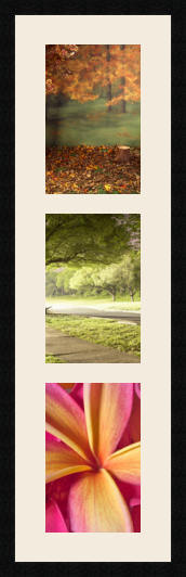 passe partout  3 - 20x30 photos