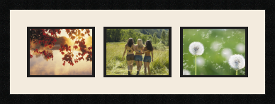 passe partout  3 - 20x15 photos