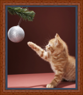 RK CADRES le numéro un encadrement 