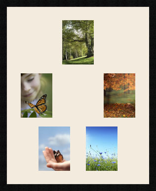 passe partout  5 - 15x20 photos